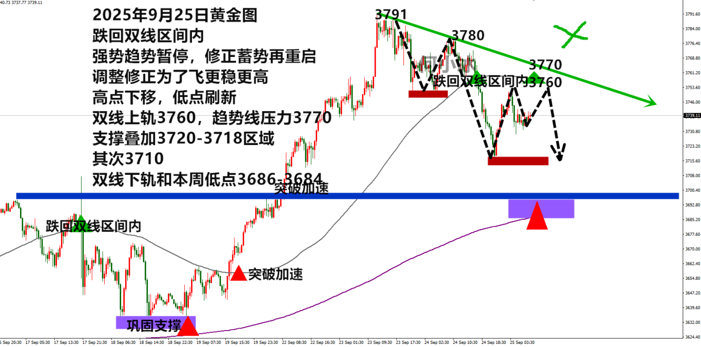 何小冰：金价确定进入调整修正，大起大落仍是常态