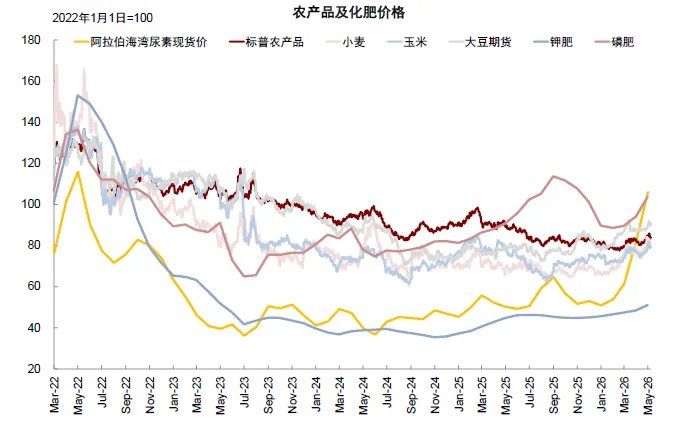 中金：从俄乌四年能学到什么？ - 图片8
